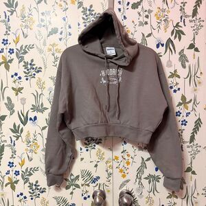 HoodRich Shadow Cropped Gray BH Hoodie